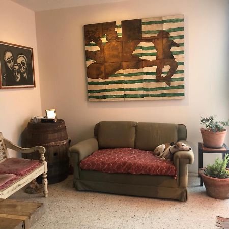 Posada Barbario Con 4 Habitaciones Oaxaca Экстерьер фото